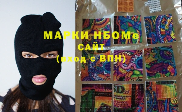 шишки Гусиноозёрск